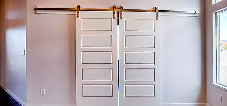 Glass Barn Door with Installation Hardware Kit Davenport