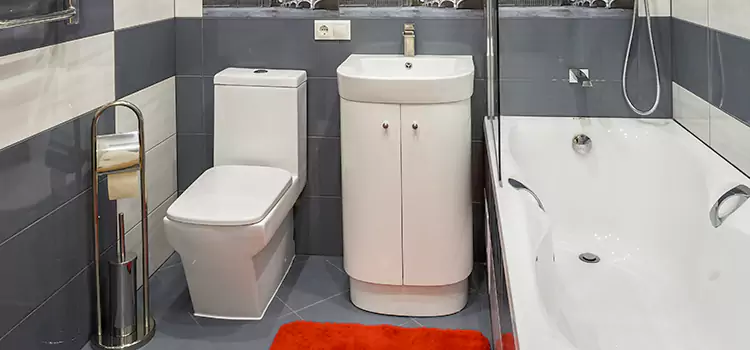 Hansgrohe Shaving Mirror Davenport